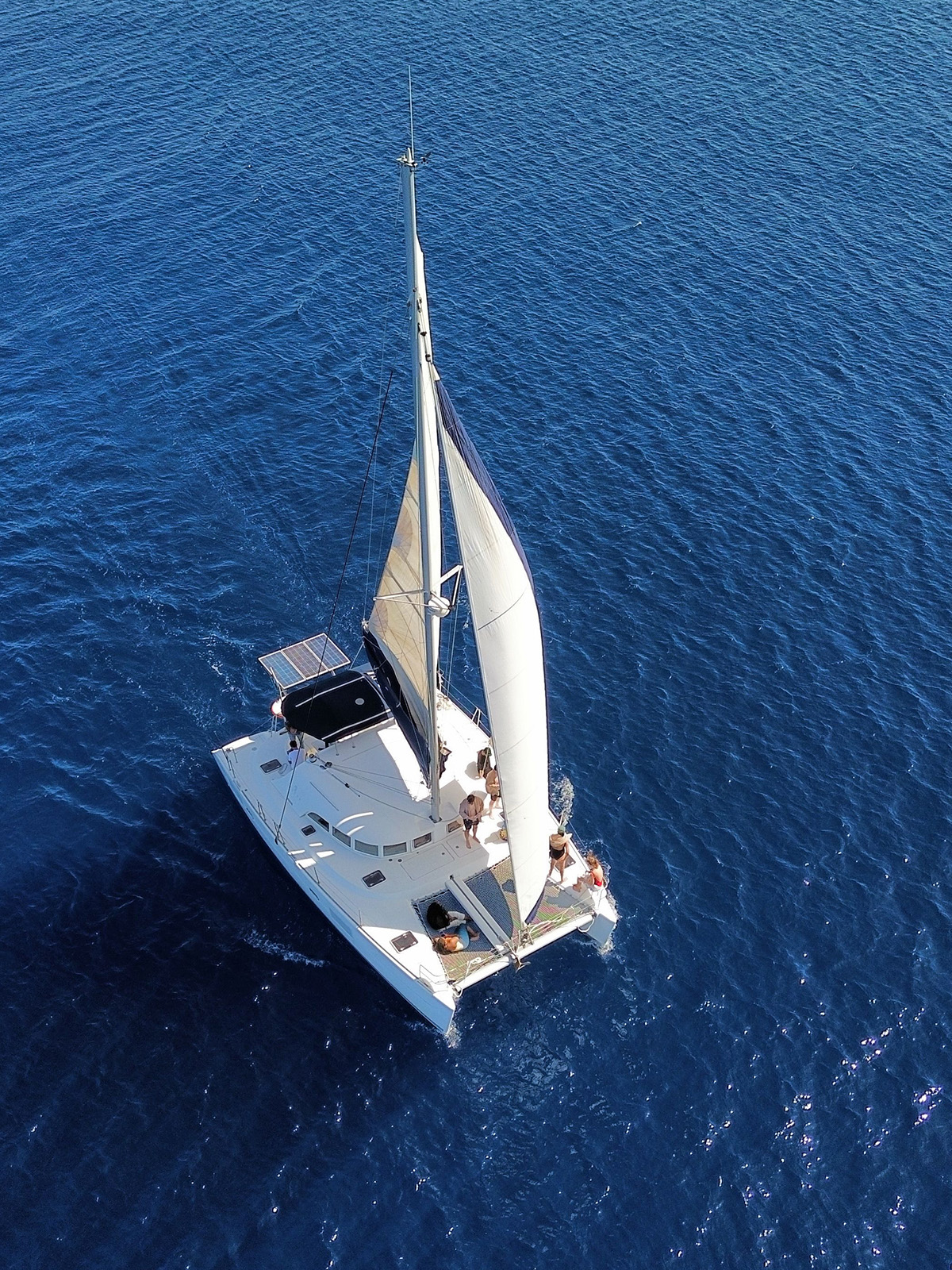 Catamaran sailing to Tortuga Island