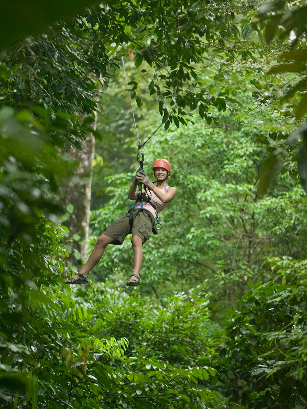 Ziplining in the rainforest canopy